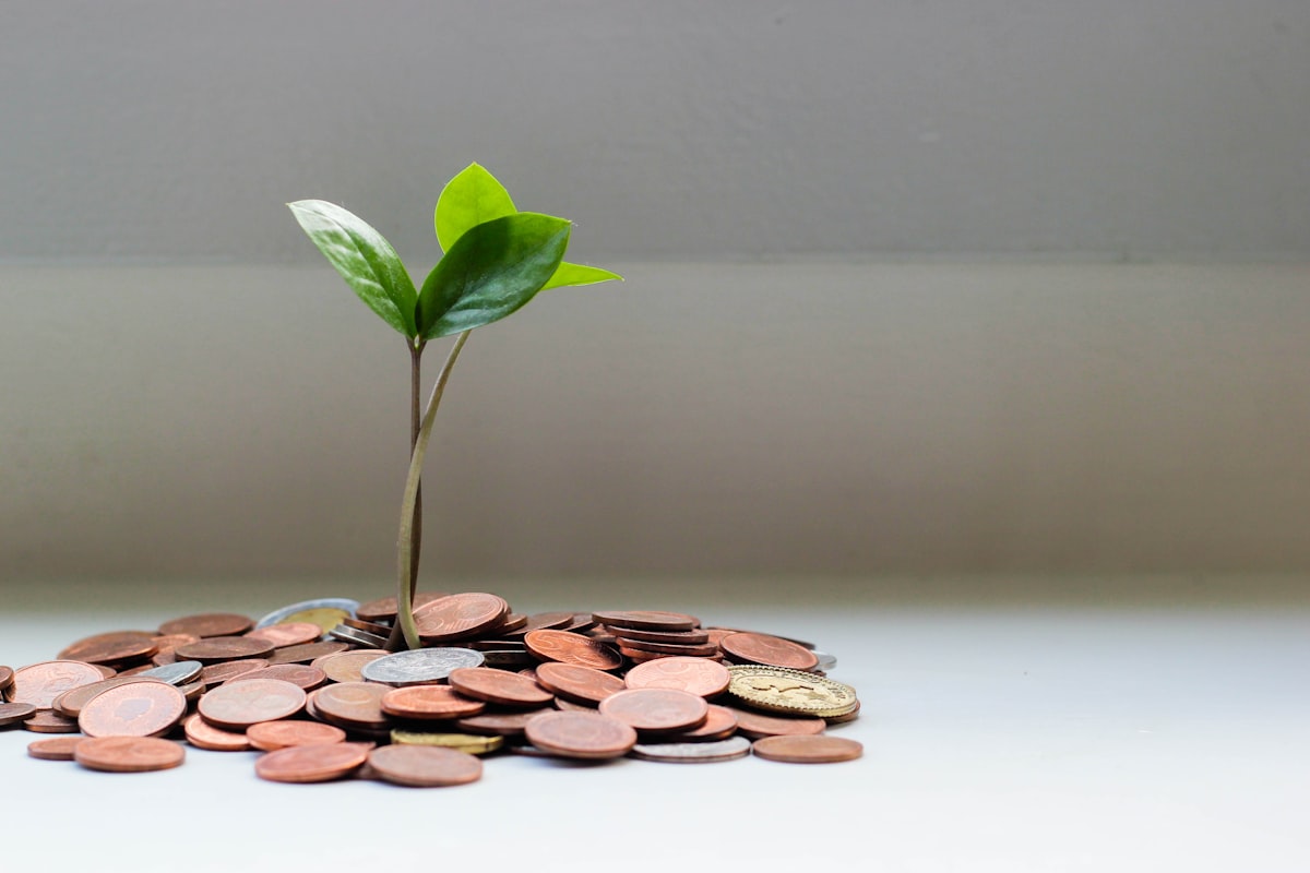 Retirement Taxes Too High? Try These 5 Smart Ways to Reduce Tax Liability in Retirement